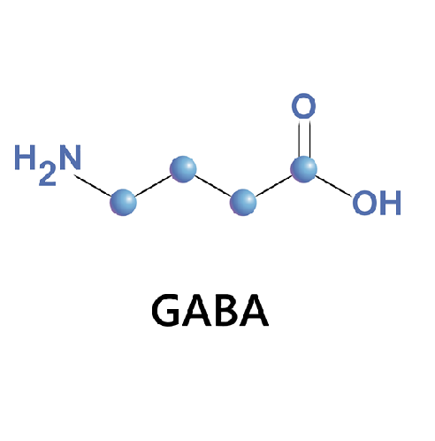 gamma aminobutyric acid
